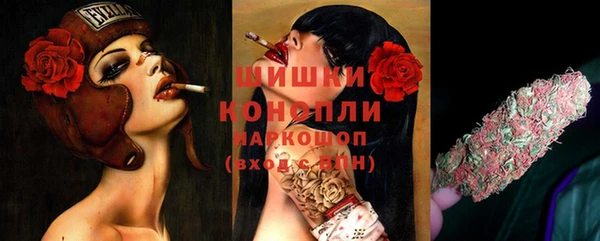 шишки Куйбышев