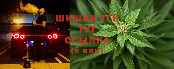 спиды Елабуга