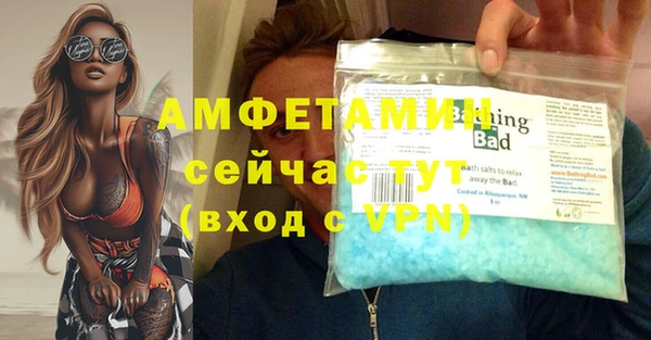 шишки Куйбышев