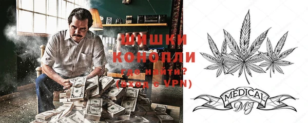 шишки Куйбышев