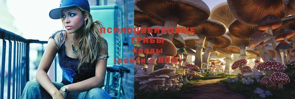 шишки Куйбышев
