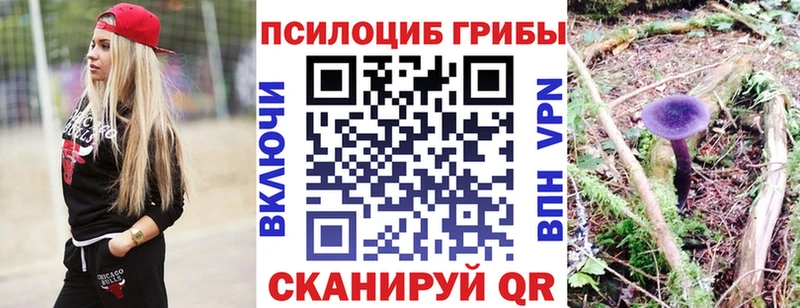 Галлюциногенные грибы ЛСД  mega сайт  Дудинка  купить закладку 
